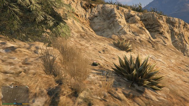 To find the small, green cactus plants in GTA Online, you have to keep your eyes and ears open.